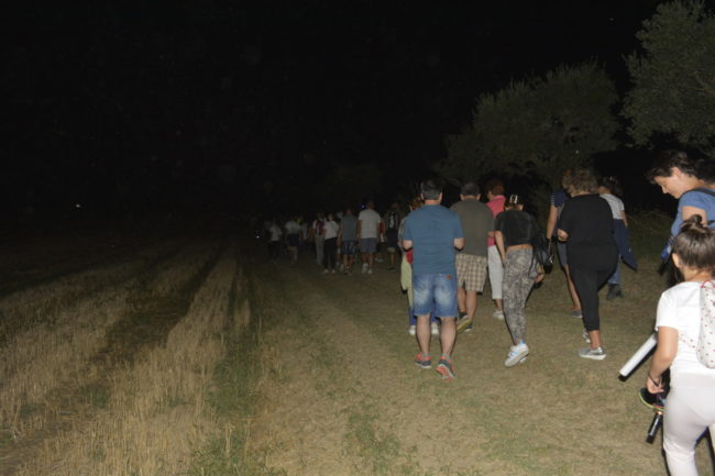 passeggiata-sotto-le-stelle-1-650x433