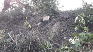 querce-3-325x183