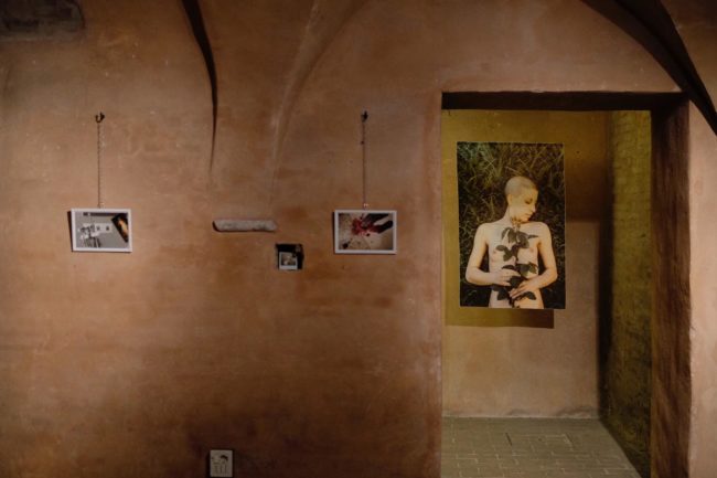 mostra_admo-2-650x433
