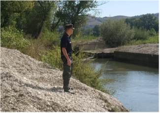 carabinieri-forestali