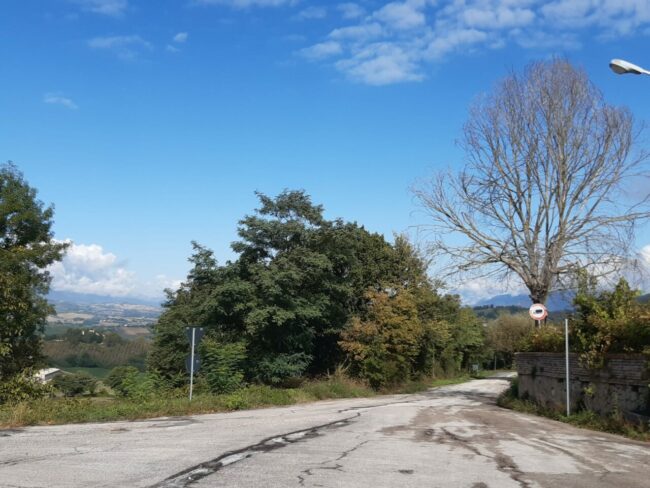 strada-ponti-canepina