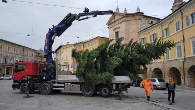 albero-natale-san-severino-1-650x366