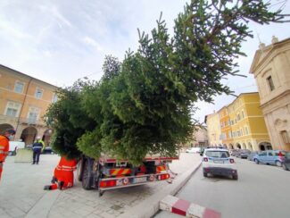 albero-natale-san-severino-2-325x244