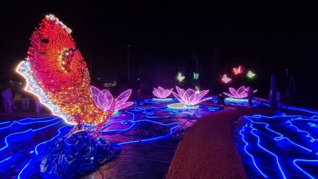 installazione-luminosa-pellegrini-luminarie-1-650x366
