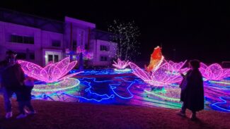 installazione-luminosa-pellegrini-luminarie-2-325x183