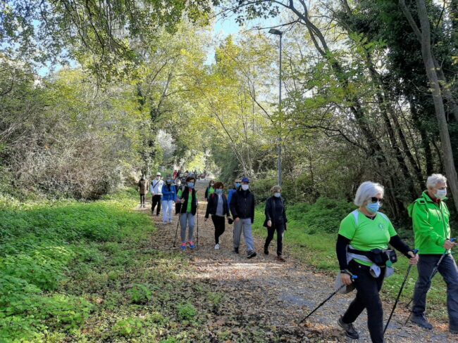 trekking-urbano-1-650x488