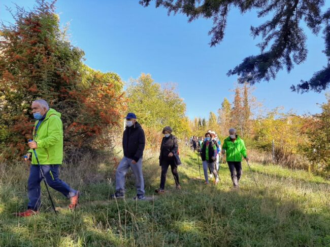 trekking-urbano-4-650x488
