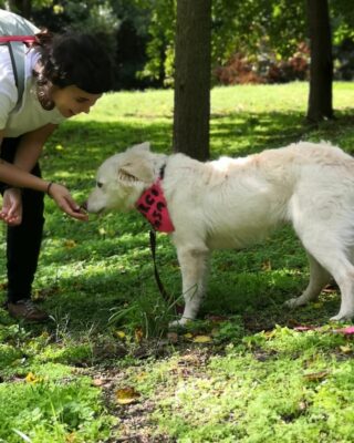 Ilaria-Natali-con-uno-degli-ex-ospiti-del-canile