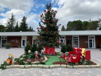 Lalbero-di-Natale-e-lallestimento-per-le-festivita-a-Camerino