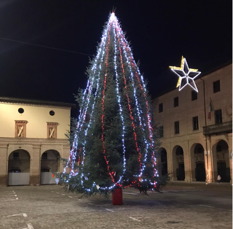 Natale-Caldarola-buone-2
