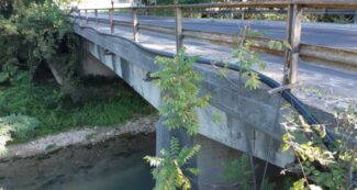 Taccoli-ponte