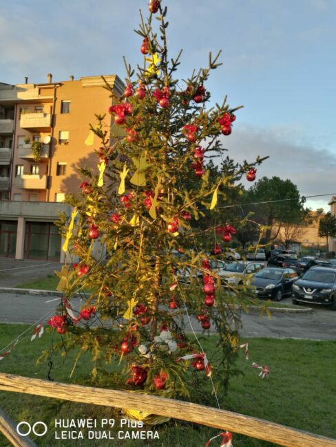 WhatsApp-Image-2020-12-13-at-16.32.22-488x650