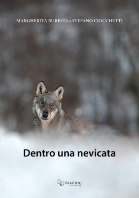 Dentro-una-Nevicata