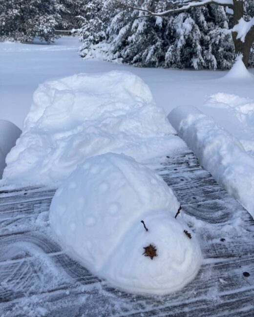 coccinella-elena-da-san-lorenzo-di-treia