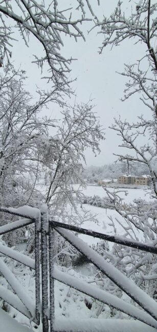 francesca-chisena-montecassiano4-307x650