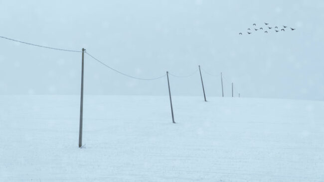 leonardo-biagiola-neve-treia1-650x366