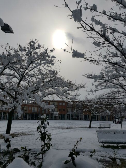 neve-chiesanuova-romina-rango2-488x650