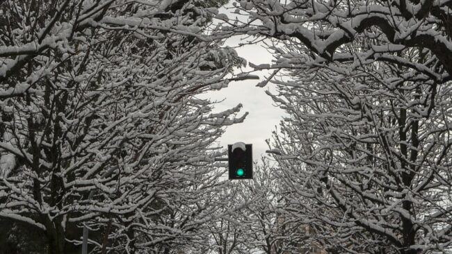 neve-macerata-viale-della-stazione-angela-pesci