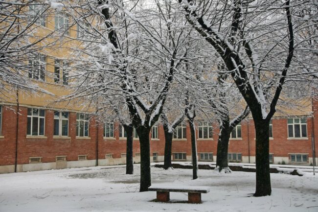 neve-san-severino-scuole-elementari-claudio-schiavoni