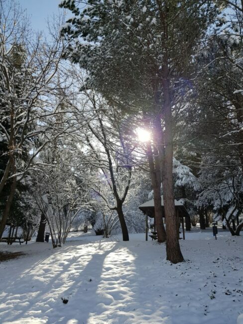 neve_caldarola_marco_falcioni-1-488x650