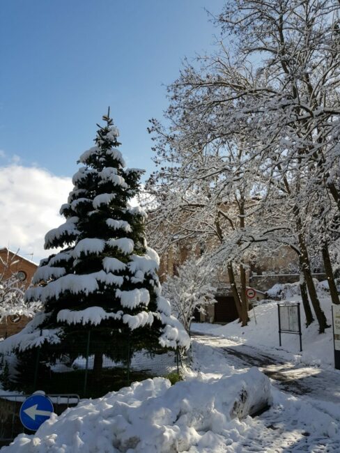 neve_caldarola_marco_falcioni-2-488x650