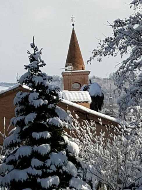 neve_caldarola_marco_falcioni-3-488x650