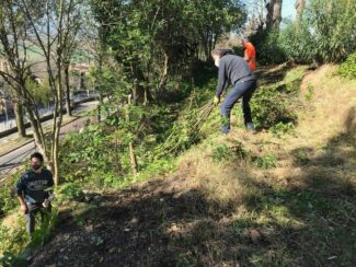 Cittadinanza-attiva-Recanati-