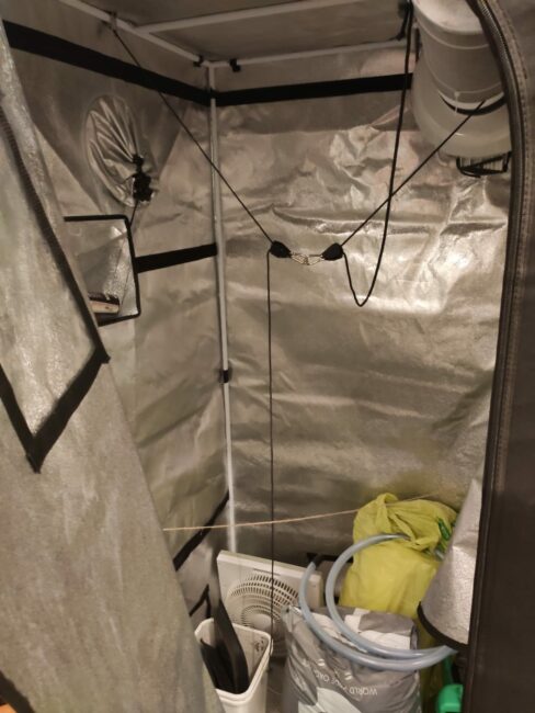arresto-camerino-3-488x650