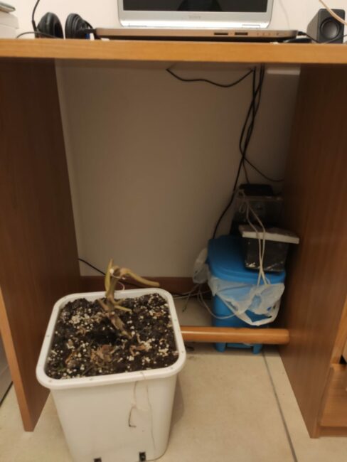 arresto-camerino-7-488x650