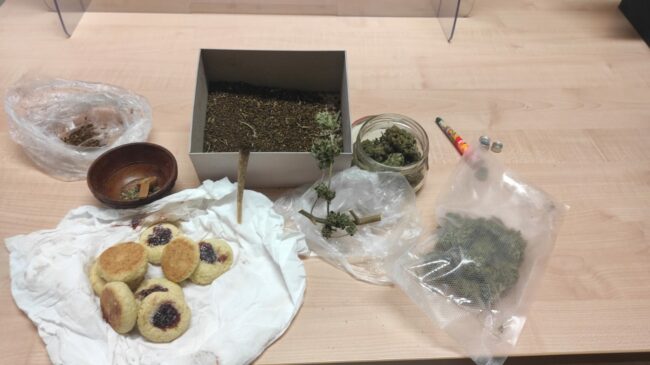 arresto-marijuana-serravalle-valfornace-camerino-2-650x365