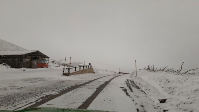 fotorilievo_291865-650x366