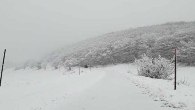 fotorilievo_291871-650x366