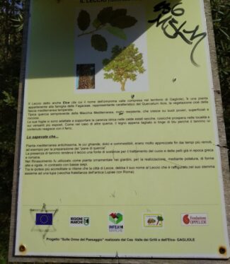 vandali-valle-dei-grilli-2-e1615290858758-325x373