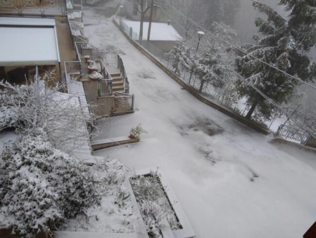 neve-cingoli