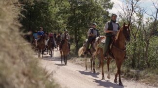 Passeggiate-a-cavallo-1-325x181