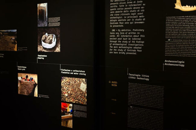 museo-mesolitico-tolentino-10-650x431