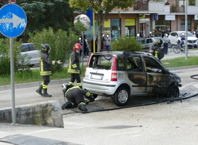 panda-fuoco-tolentino-2-650x475