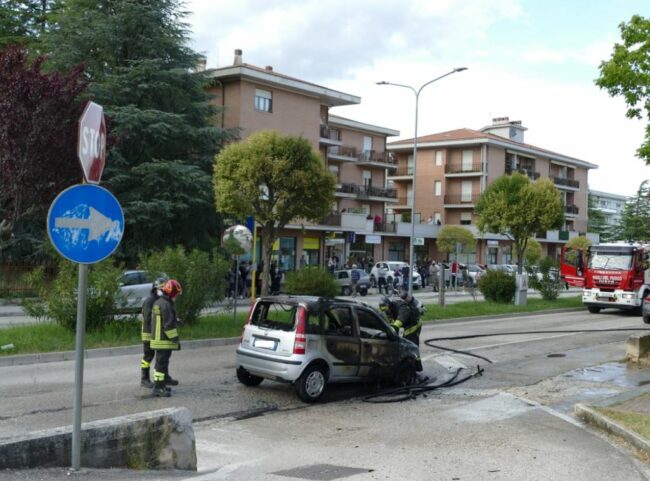 panda-fuoco-tolentino