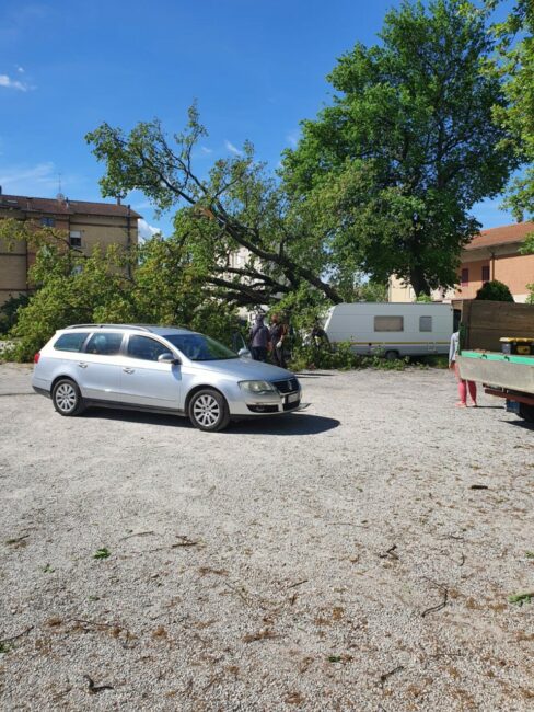 quercia-passo-bidollo-2-488x650