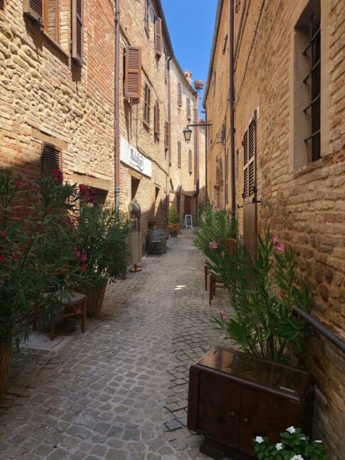 arena-la-cava-2-488x650