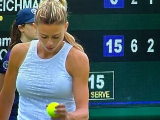 camila-giorgi-5-325x244