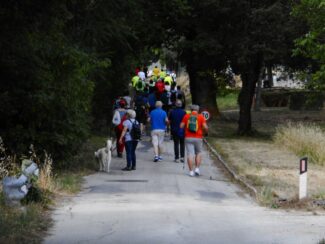 nordic-walking