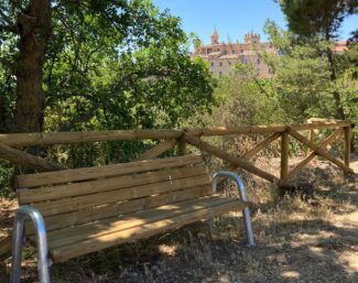selva san francesco (1)