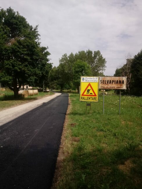 SP-Collattoni_1-488x650