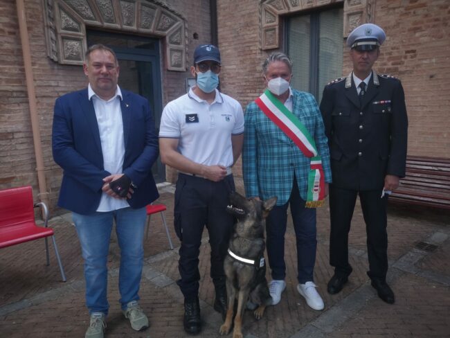 pezzanesi_polizia_municipale_cane_billy-3-650x488