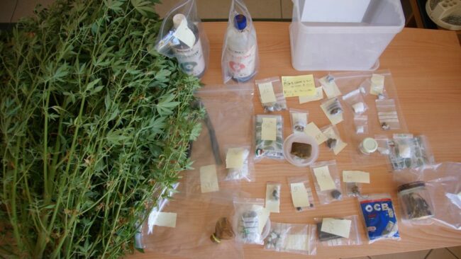 arresto-marijuana-Tolentino-2-650x366