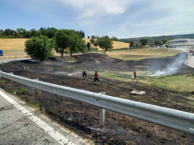 incendio-cingoli-2-650x488
