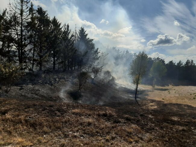 incendio-crossodromo-4-650x488