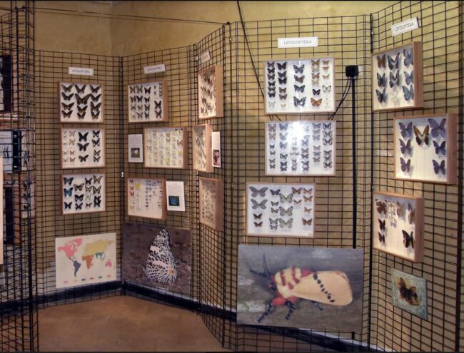 Museo storia naturale (2)