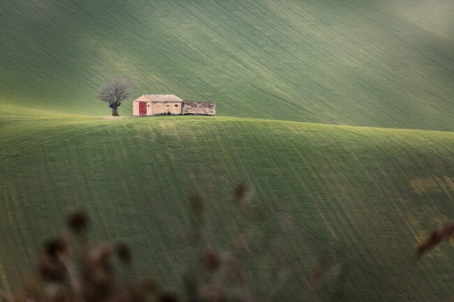 frenguelli-5-650x433
